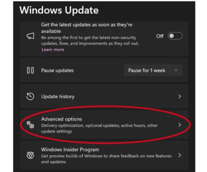 Inception - Windows Updates Guide